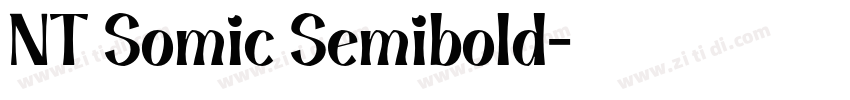NT Somic Semibold字体转换